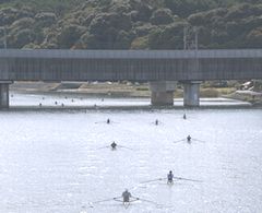 2009 Head Of The Seta